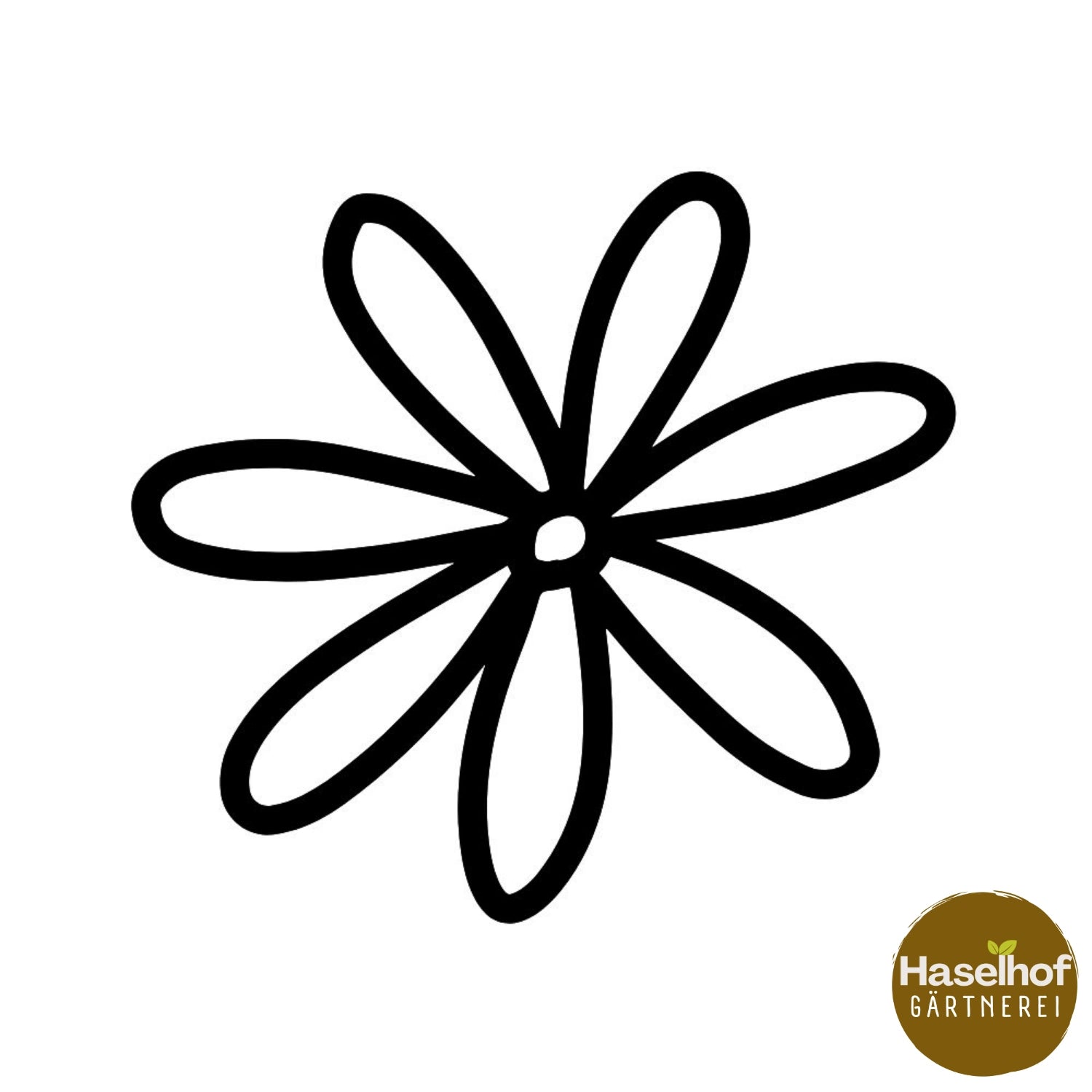 Achnatherum calamagrostis