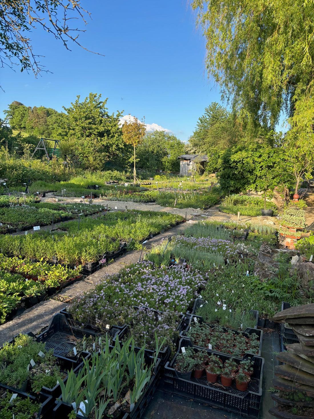 Pflanzbeete im Schaugarten des Haselhofs