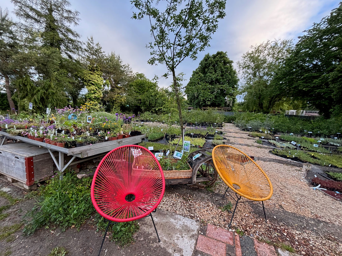 Farbige Sitzgelegenheit im Schaugarten des Haselhofs