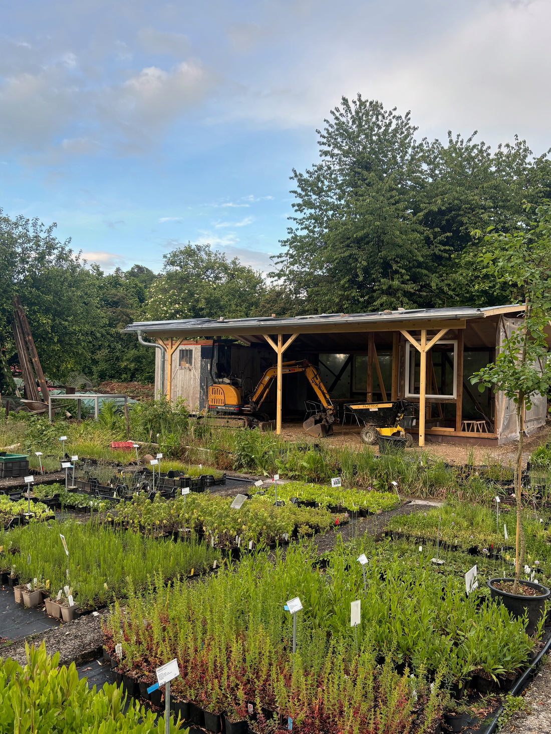 Holzpavillon in der Bio-Gärtnerei Haselhof
