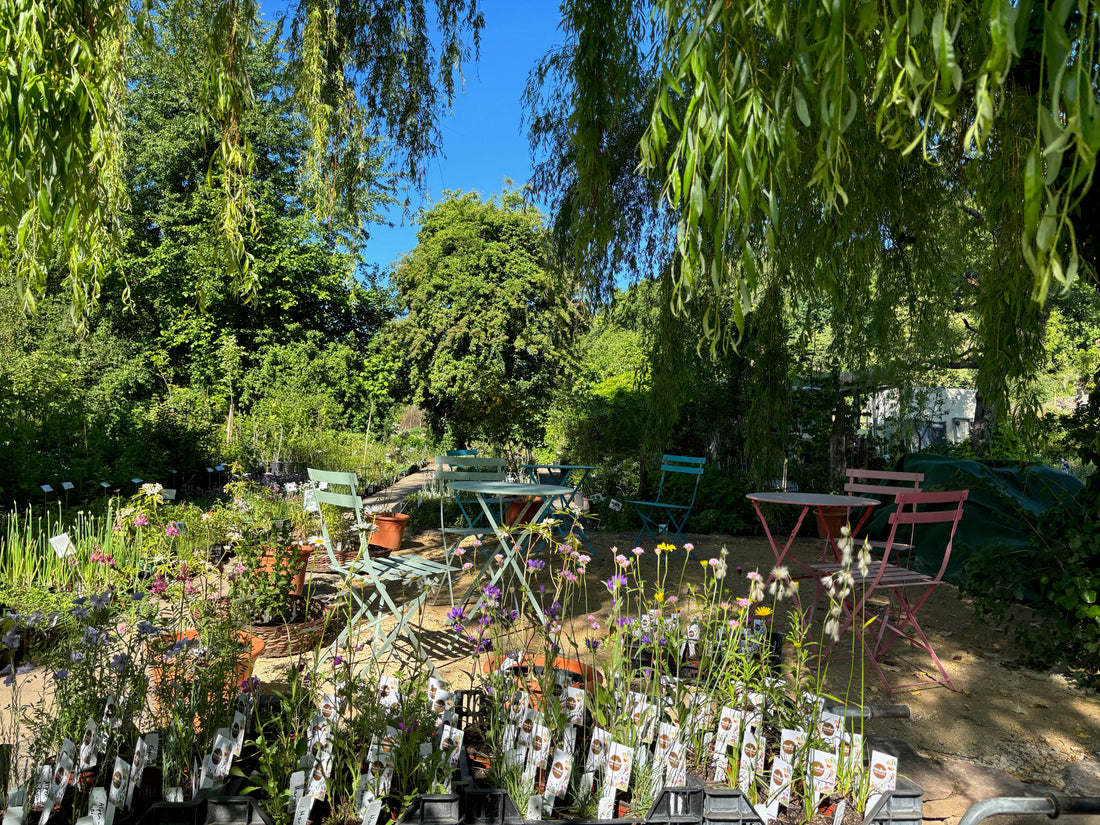 Blick in den Schaugarten des Haselhofs