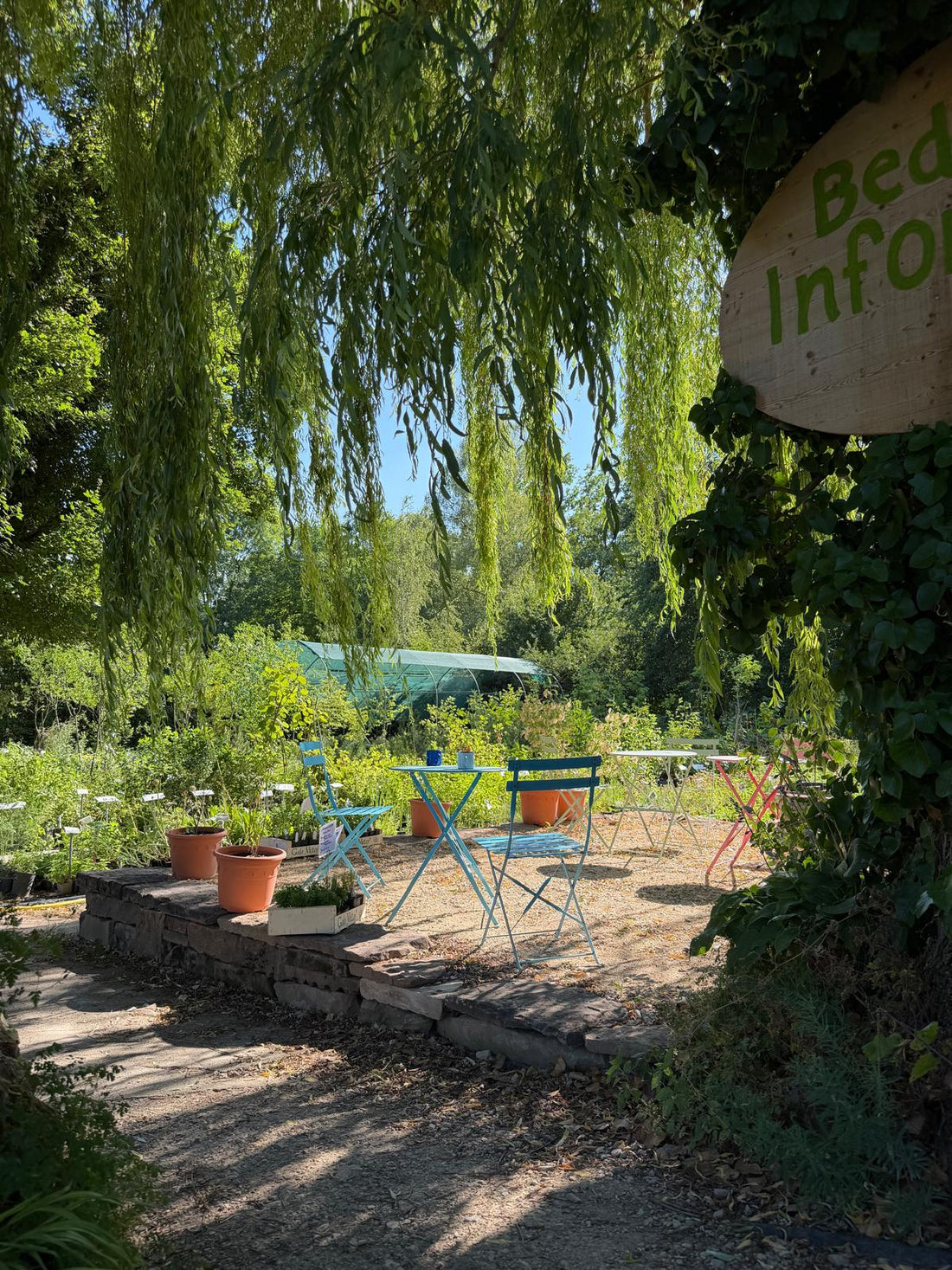 Blick in den Schaugarten des Haselhofs mit Trauerweide